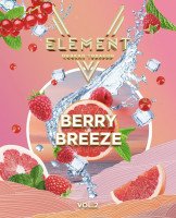 Новые вкусы Element V