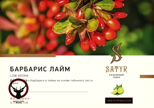 Табак для кальяна Satyr Barbery-Lime 25гр