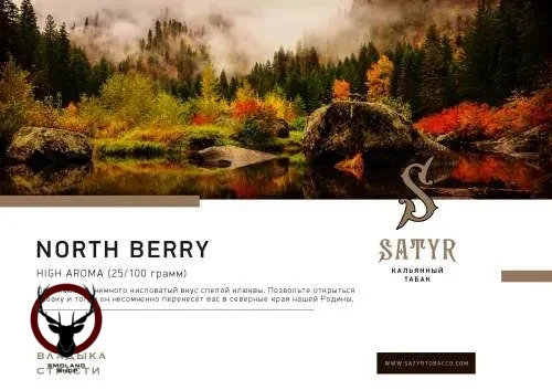 Табак для кальяна Satyr Northberry 25 гр