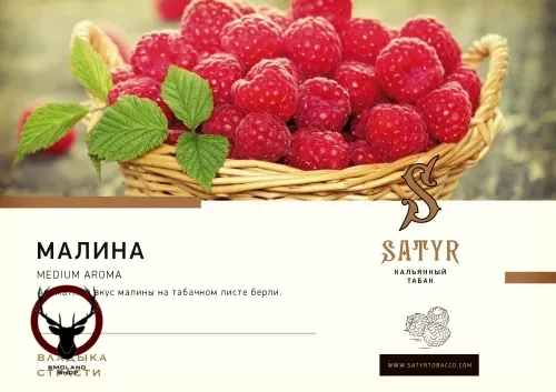 Табак для кальяна Satyr Raspberries 25 гр