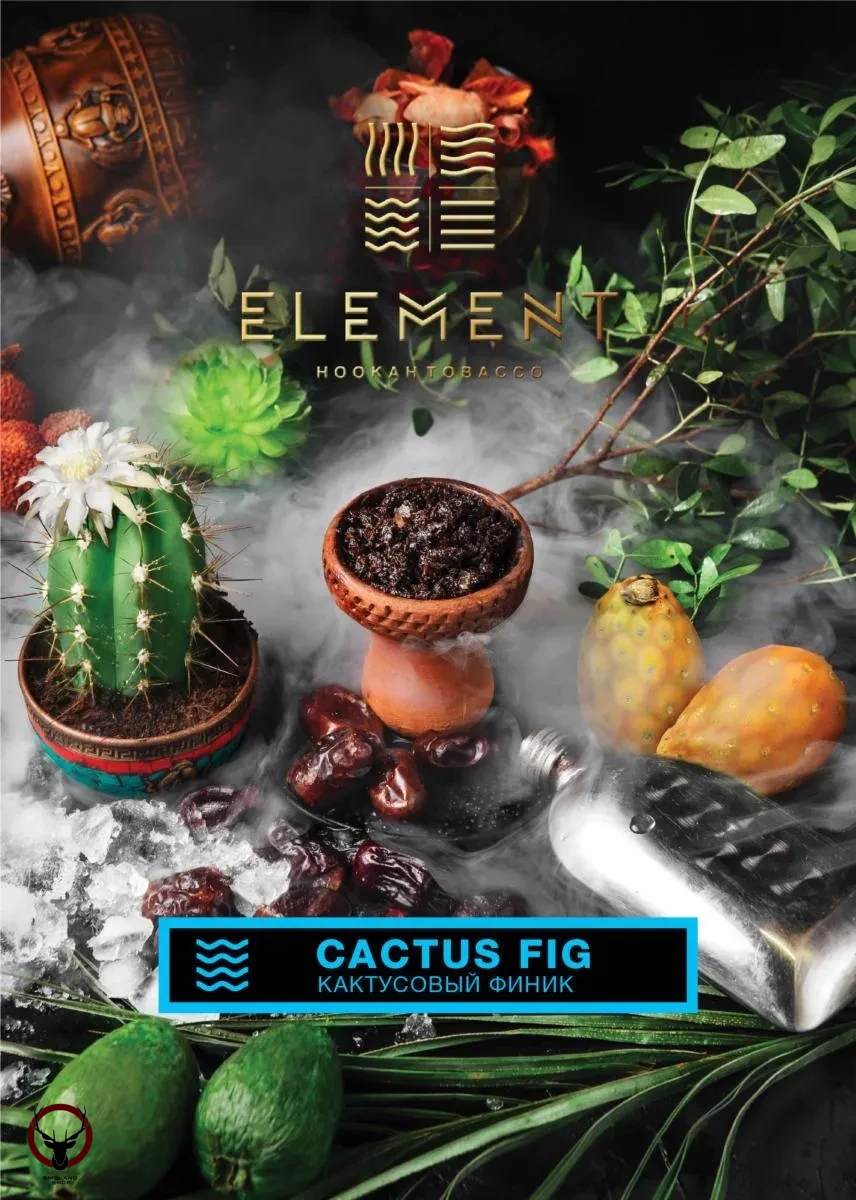 Табак для кальяна Element ВОДА Cactus fig 200гр