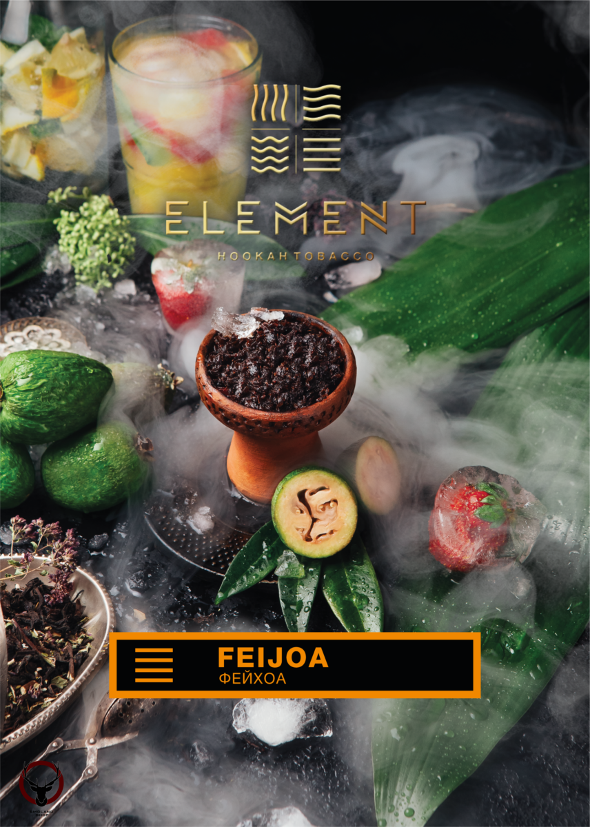 Element ЗЕМЛЯ Feijoa 100гр МРК