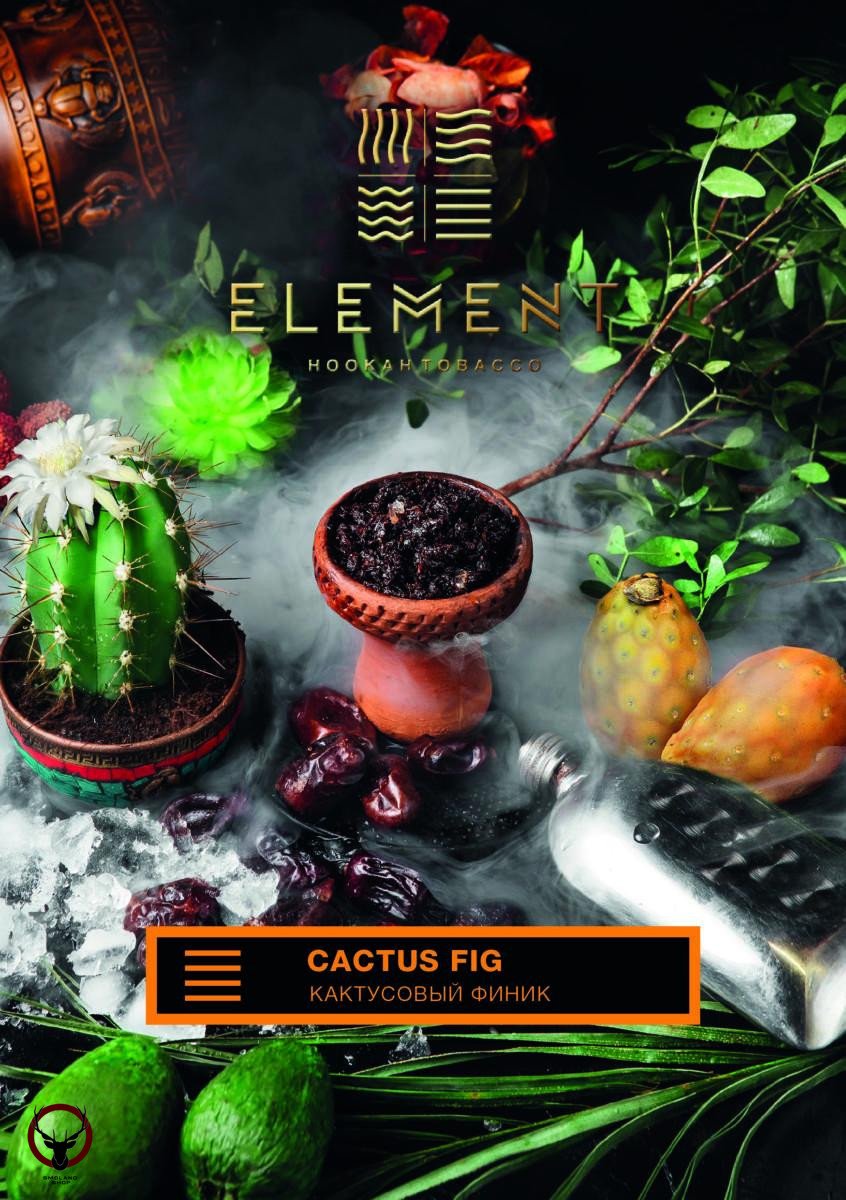 Element ЗЕМЛЯ Cactus Fig 100гр МРК